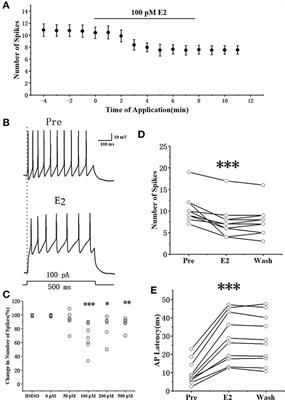 Estradiol decreases the excitability of RA projection neurons in adult male zebra finches